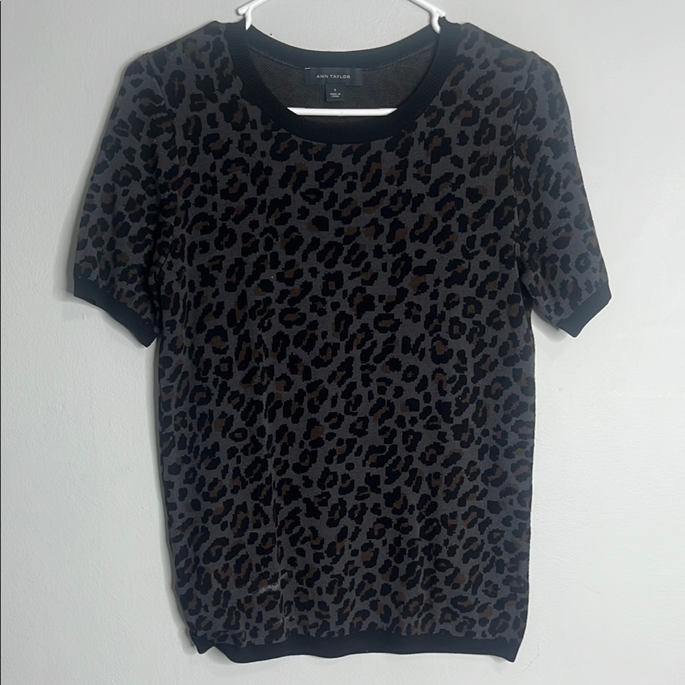Leopard Print Short Sleeve Sweater